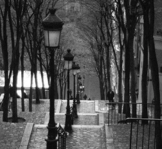 レジーナ モンマルトル ホテル 3*